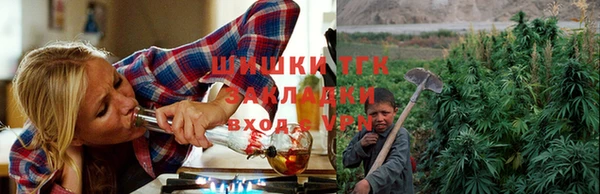 мет Протвино