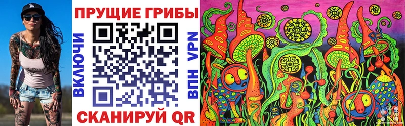 что такое Белая Холуница Псилоцибиновые грибы мицелий
