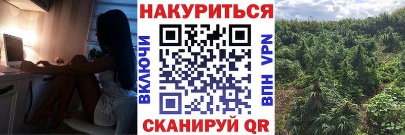 купить  цена  Белая Холуница  Каннабис SATIVA & INDICA 